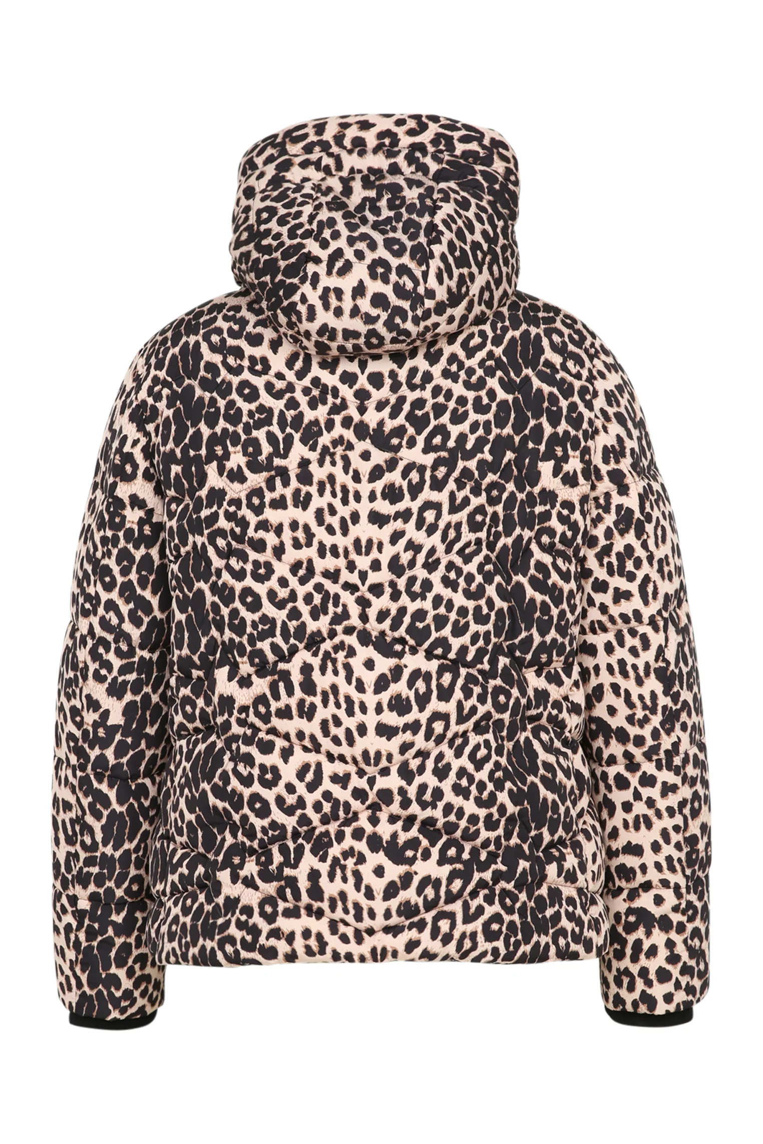 Image du produit 11